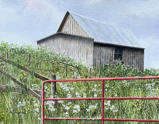 New Tin © Alan Shuptrine