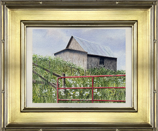 New Tin © Alan Shuptrine