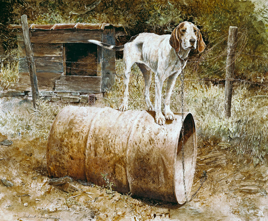 Pride of Granny Squirrel